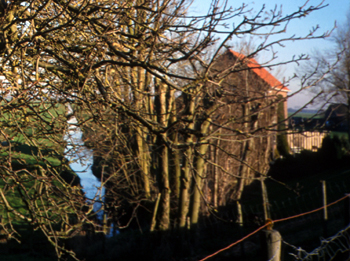 BomenSlootHuis