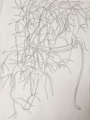 vetplant